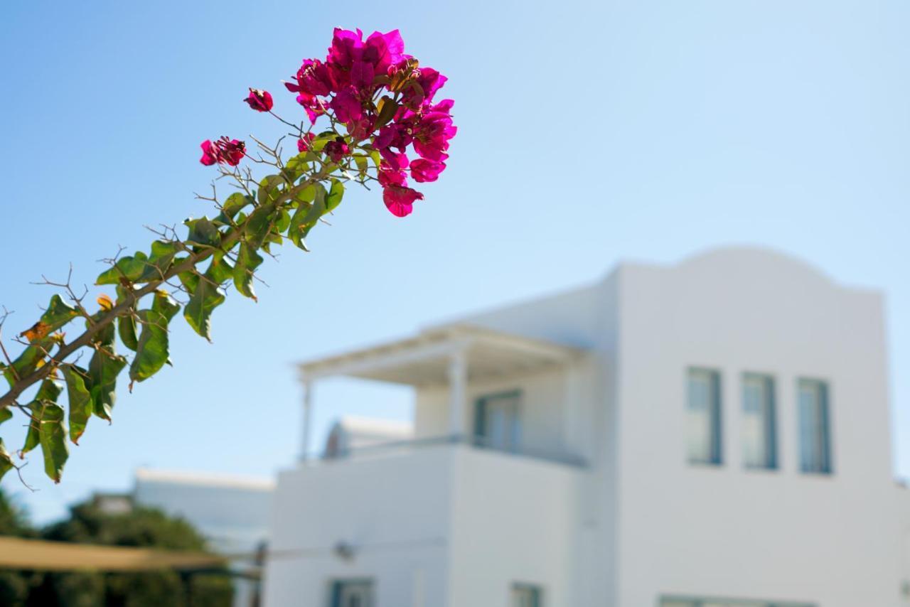 Athiri Santorini Hotel อิเมโรวิยอน ภายนอก รูปภาพ